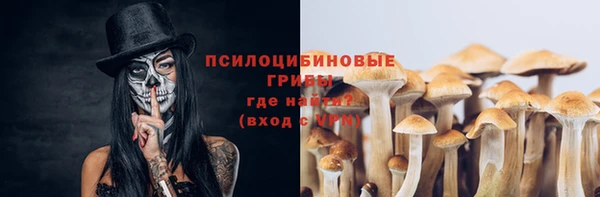 прущая мука Армянск