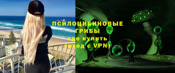 прущая мука Армянск