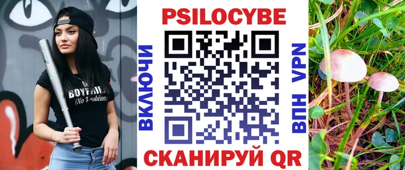 Галлюциногенные грибы ЛСД Курган