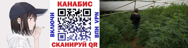 Шишки марихуана планчик наркотики Курган